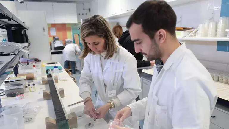 Σε δύο ανέρχονται τα κρούσματα ευλογιάς των πιθήκων στο Βέλγιο